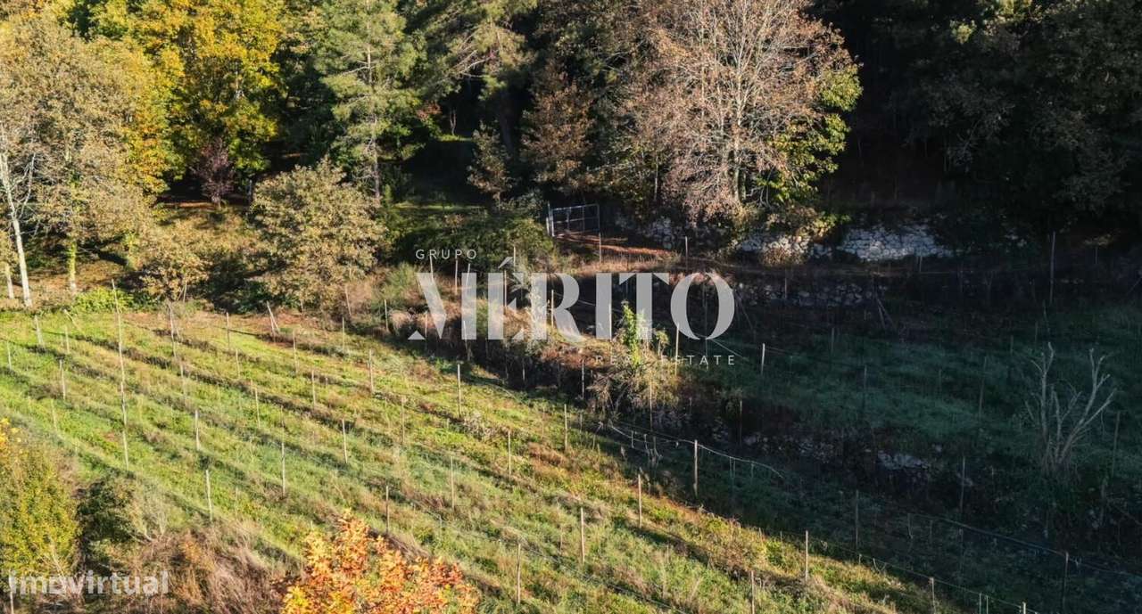 Venda Terreno - Grande imagem: 5/5