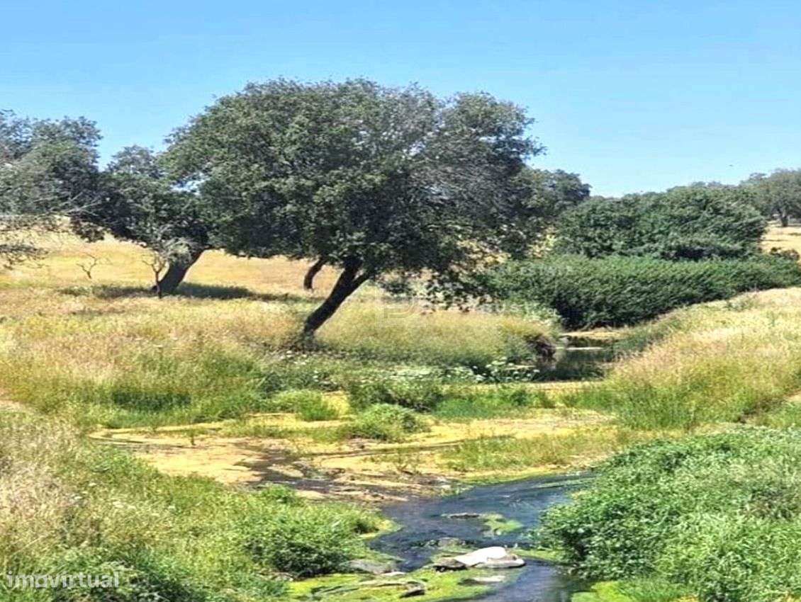 Herdade do Castelo Novo-4