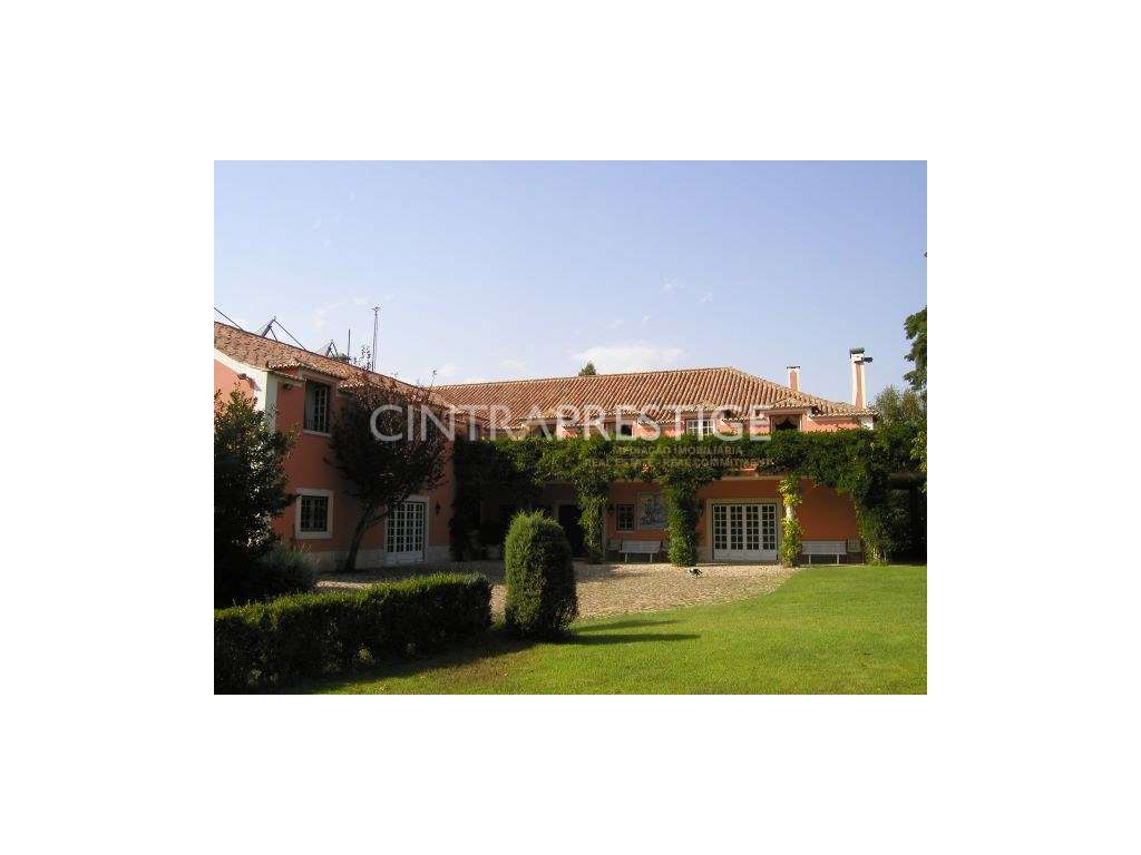 Quinta Nova de S.Pedro- Sintra, com 35.000m2. - Grande imagem: 5/60