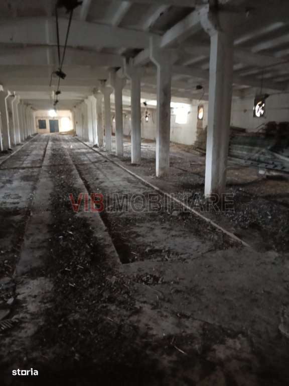 Timis - Orțișoara, hală industrială cu etaj de vânzare – 2.150 - Imagine principală: 5/9