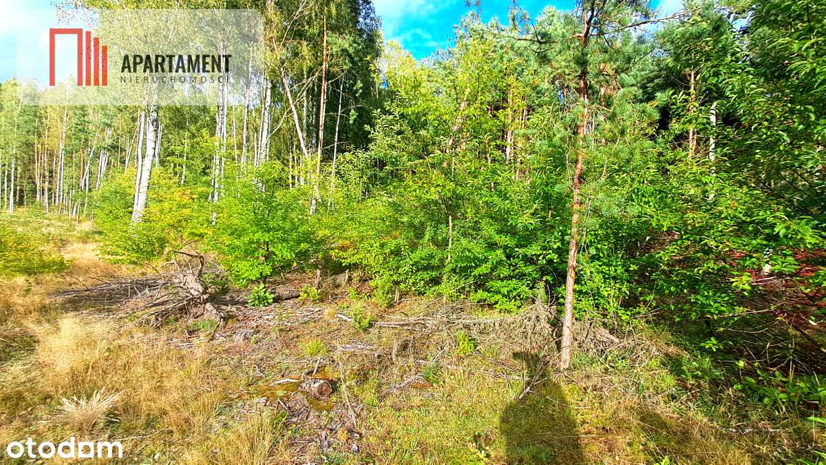 Duża działka rekreacyjna blisko jeziora!!! - Pełny obrazek: 3/8