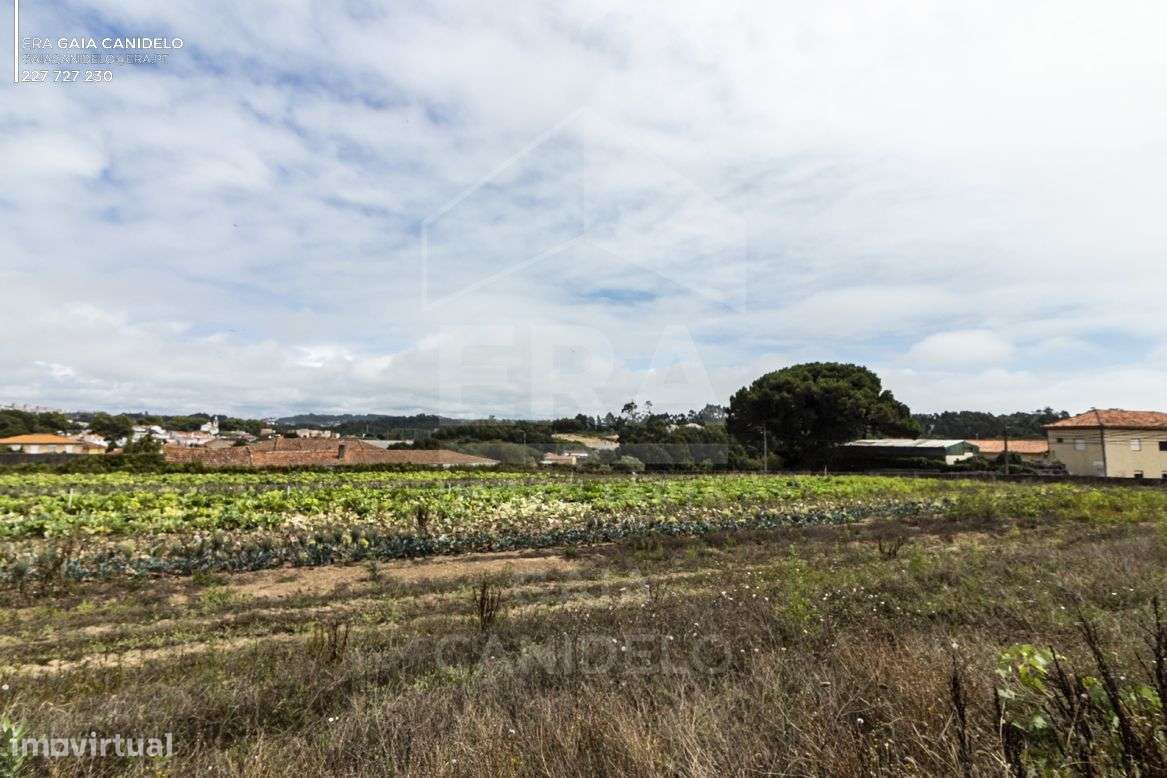 Terreno Loteado com 6.900 m² - Grande imagem: 4/9