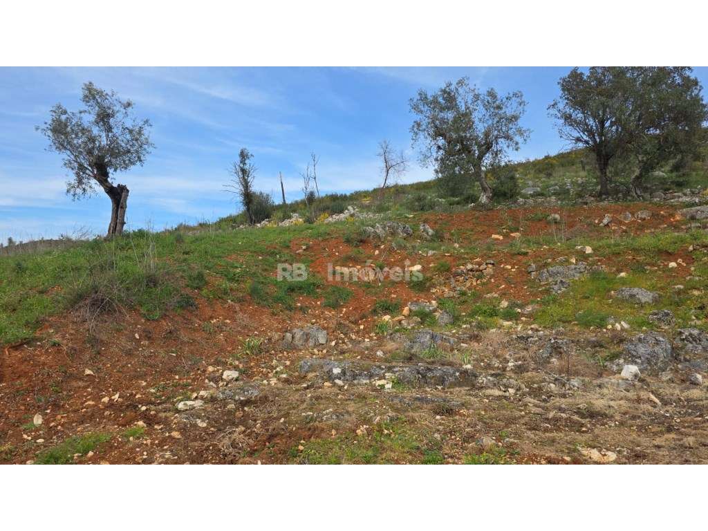 Casa de campo com mais de 1 hectare de terreno - Quebrada de Cima, ...-14