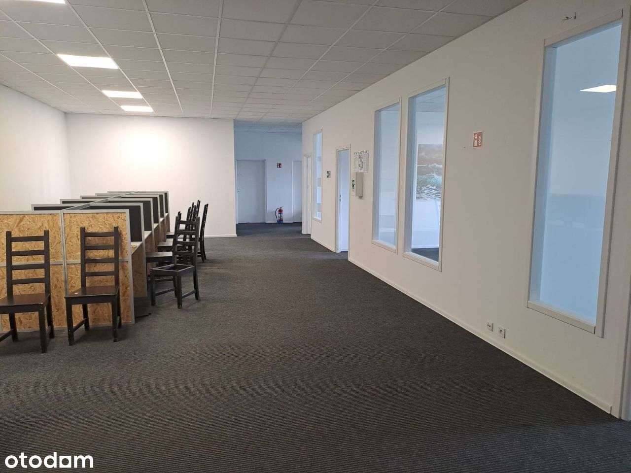 Powierzchnia biurowa lub na inne cele na wynajem - Pełny obrazek: 2/19