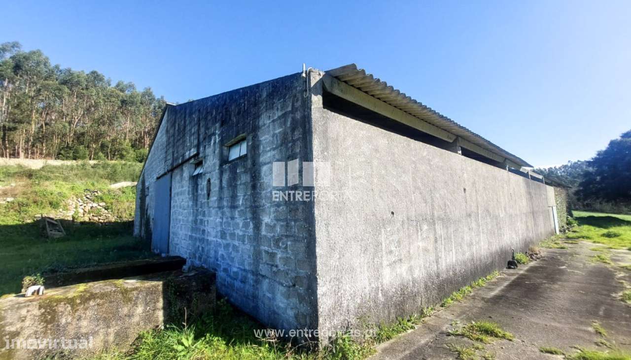 Venda de Terreno com 3695 m2 com benfeitorias, Arcos, Vila do Conde - Grande imagem: 5/22