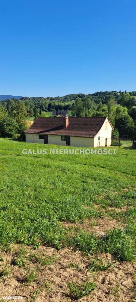 Działka rolna 2,5200 Ha i gospodarstwo-13