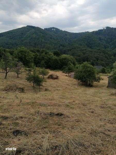 De vanzare teren intravilan 4500 mp,cu casa veche in Sovata - Imagine principală: 5/6