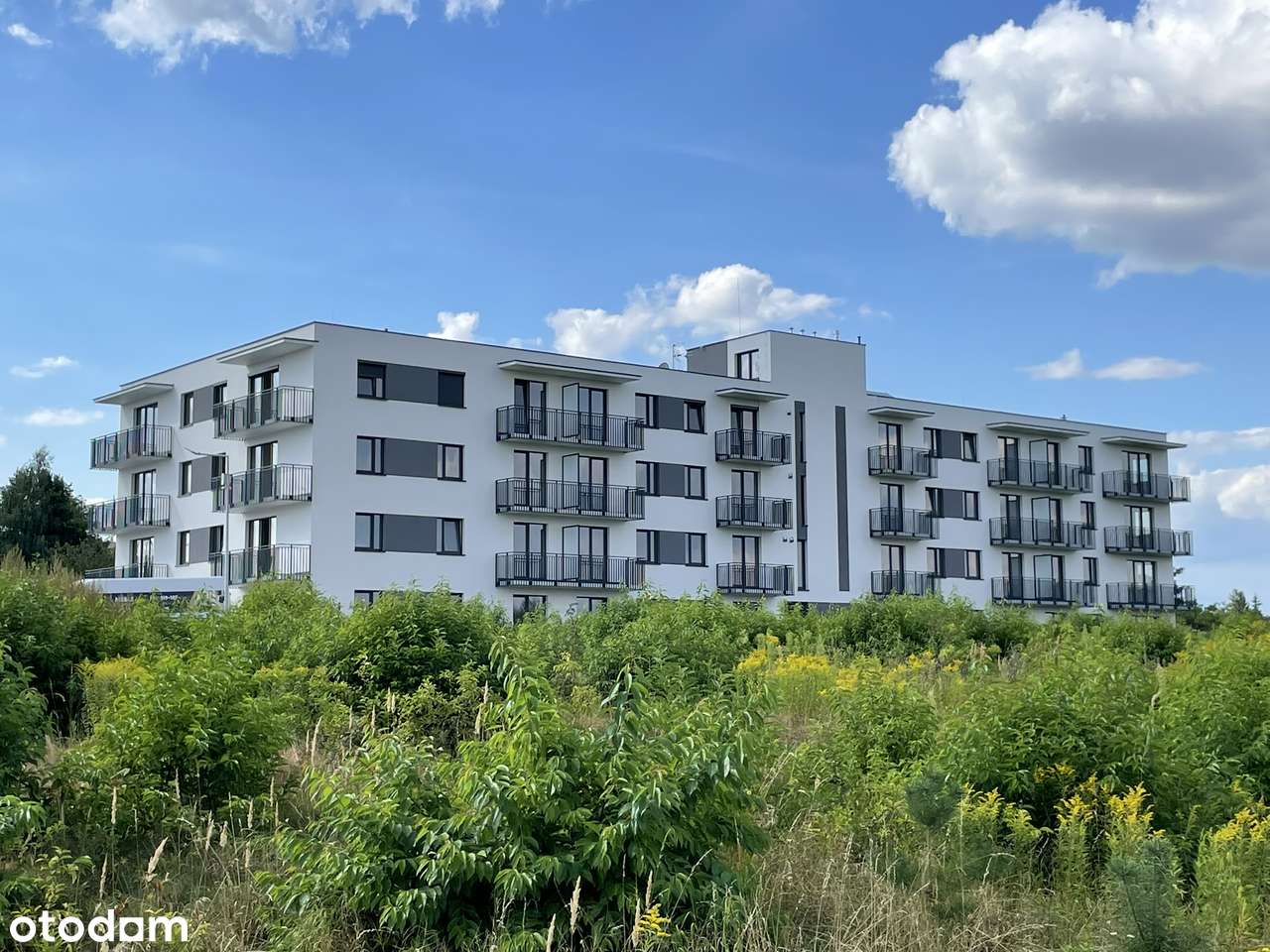 Kameralne mieszkanie 39.09m2 - I piętro, balkon - Pełny obrazek: 3/7