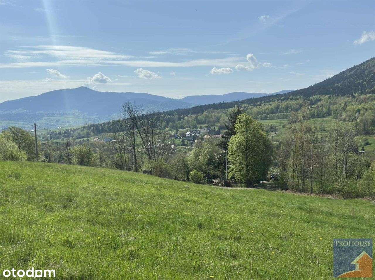 Działka, 1 800 m², Gruszowiec - Pełny obrazek: 4/20