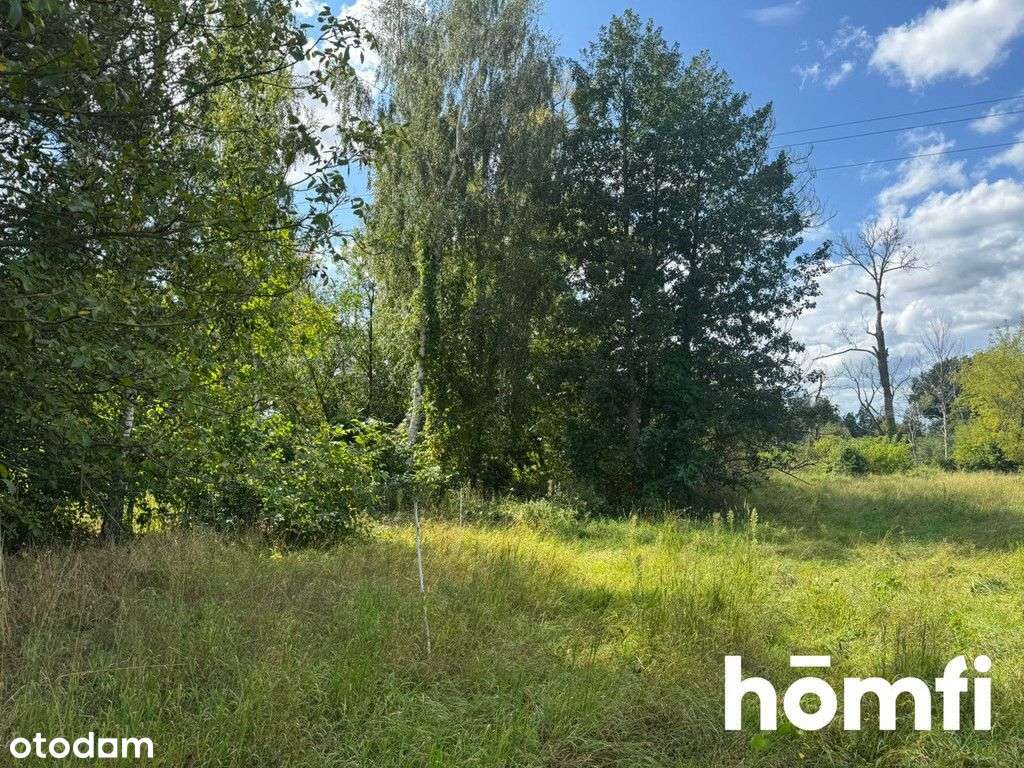 Duża działka w cichej okolicy | Pkp - Pełny obrazek: 5/10