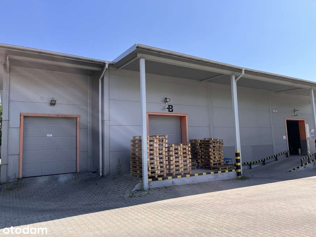 Budynek Magazynowo-biurowy, Kutno - Pełny obrazek: 5/5