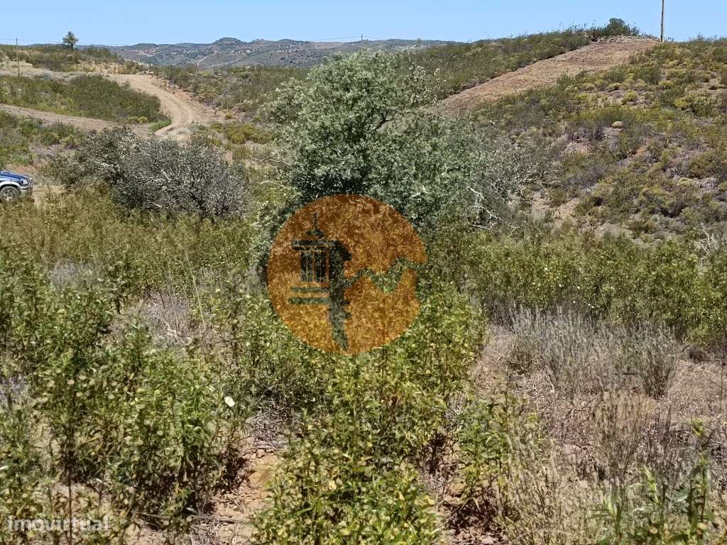 TERRENO COM 34.700 M2 - POSSIBILIDADES DE CONSTRUIR UM ARMAZEM - PR...-40