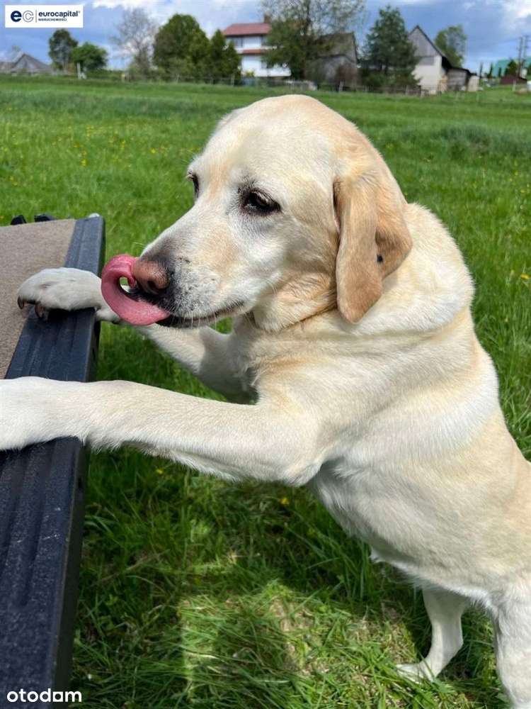 Działka na końcu świata, albo na końcu Polski! :-) - Pełny obrazek: 5/20