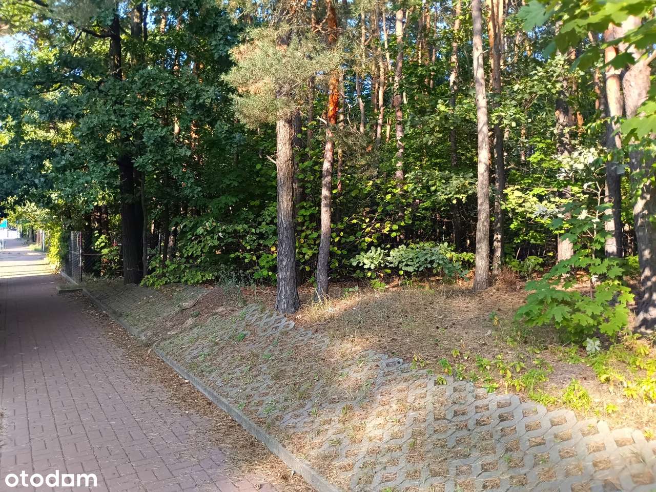 Sprzedamy działkę leśną z prawem zabudowy, Legionowo Przystanek-3