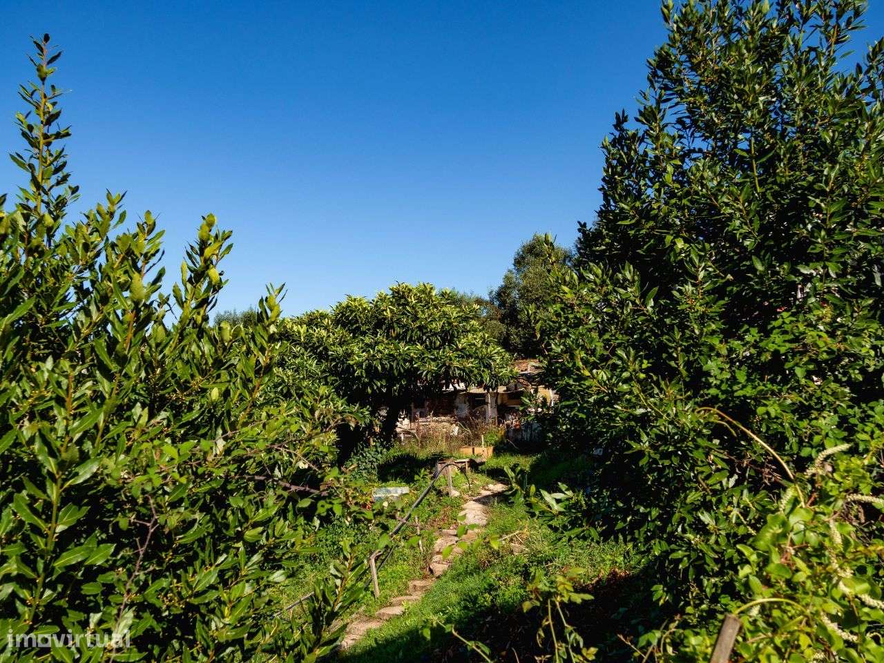 Terreno para construção, Quinta dos Malheiros, Coimbra-18