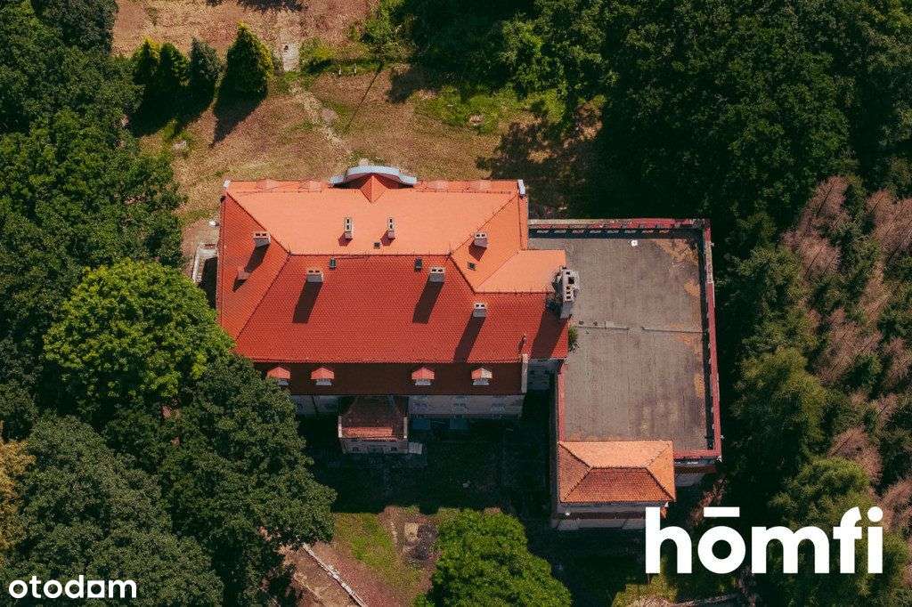 Pałac z aktualnym PnB / Dom Seniora / Hotel Spa - Pełny obrazek: 5/13