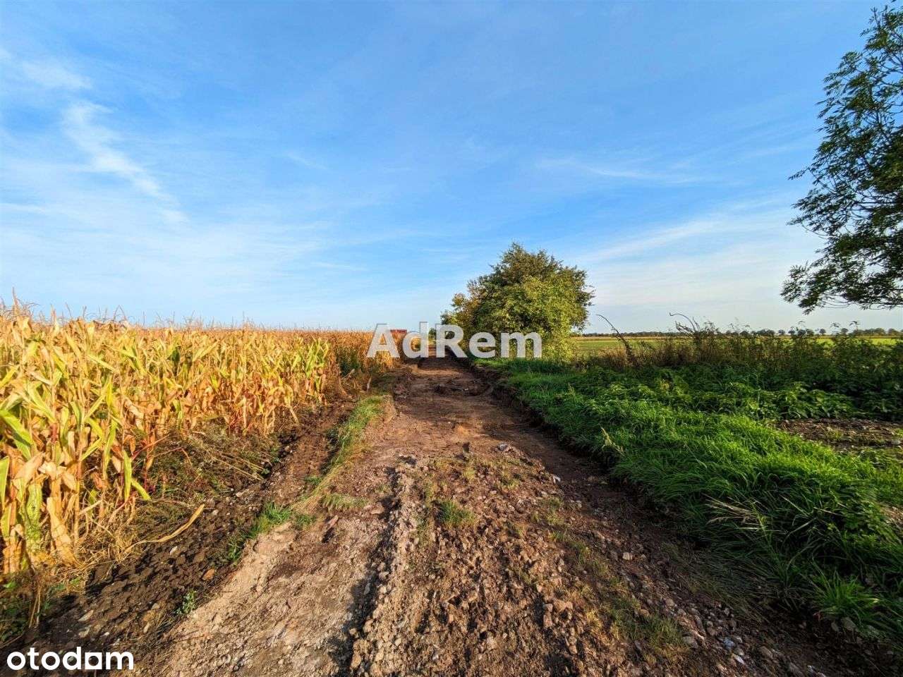 Działka, 3 600 m², Sadowice - Pełny obrazek: 4/5