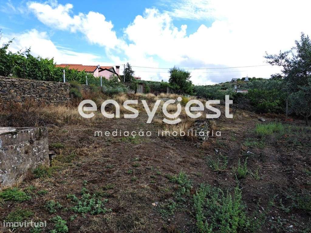 Terreno para construção na aldeia de Sequeiros, Torre de Moncorvo - Grande imagem: 4/20