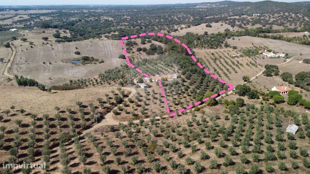 Quinta T4 para venda - Grande imagem: 3/6