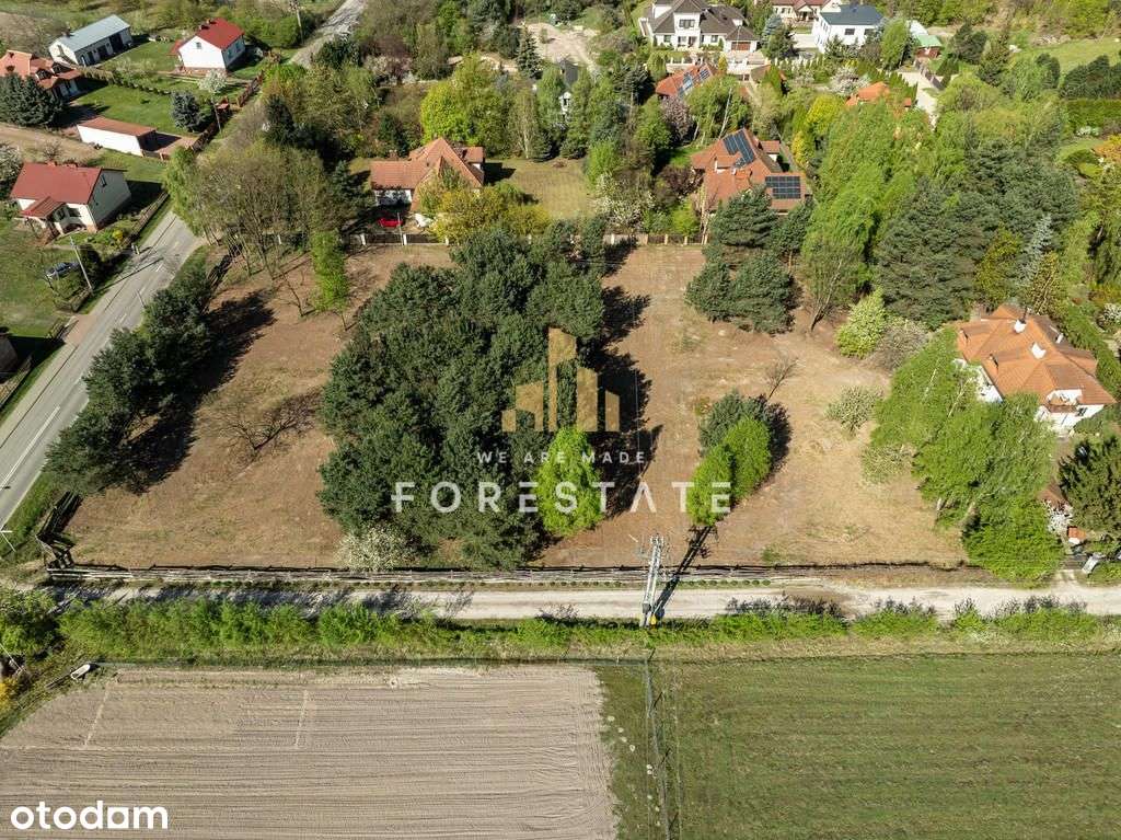 Działka Budowlana na Skraju Kampinosu! - Pełny obrazek: 5/18