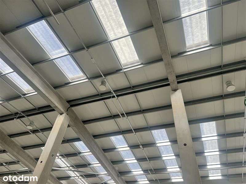 Magazyn - Gdańsk Osowa-3