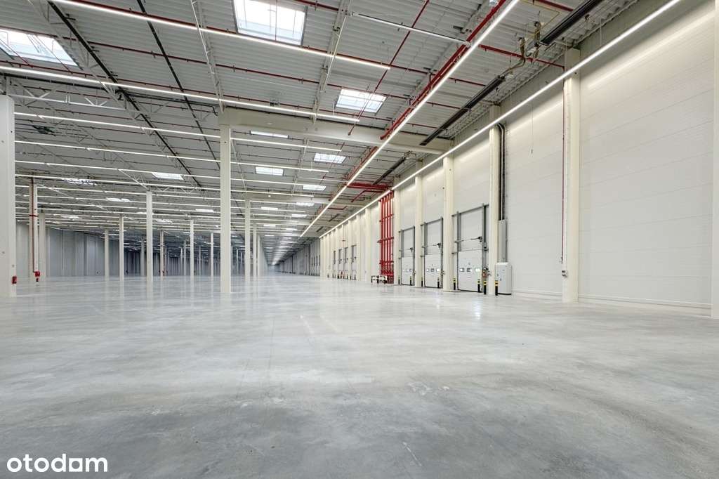 Nowoczesny magazyn we wschodniej części Łodzi - Pełny obrazek: 4/5