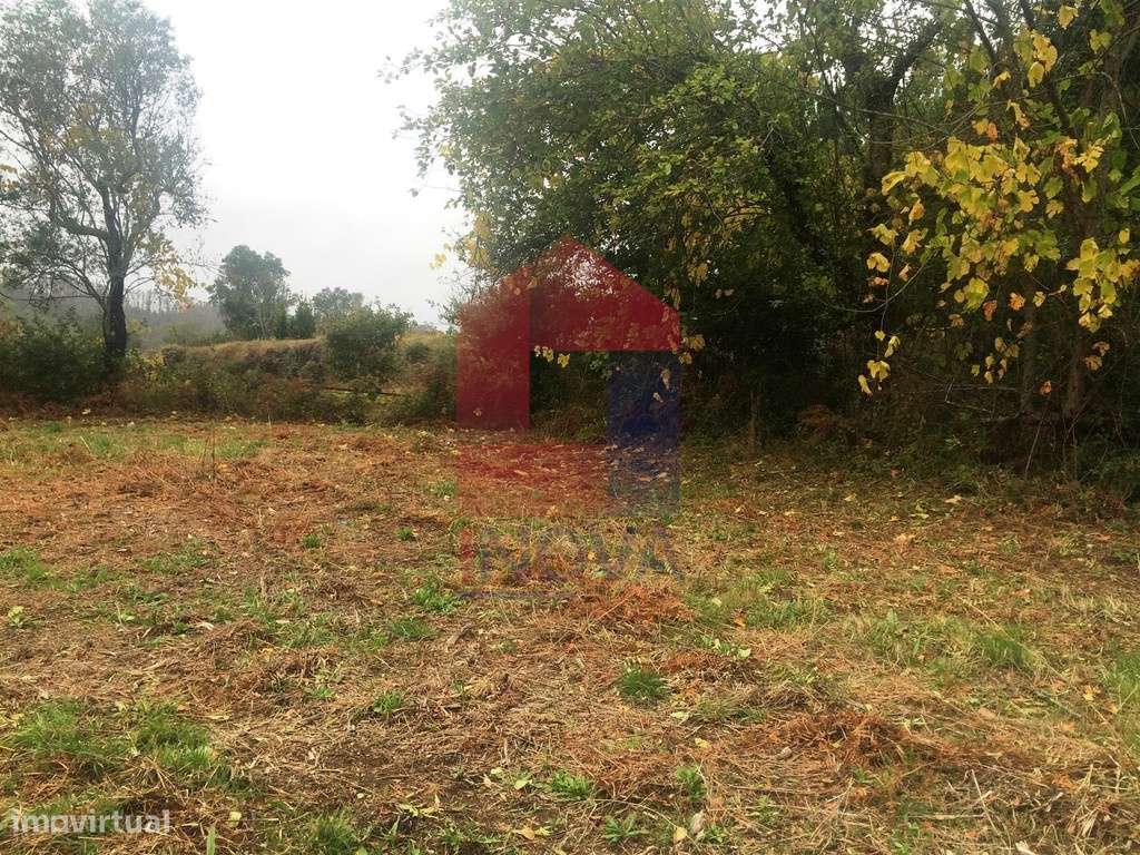 Terreno agrícola, Portela das Cabras - Grande imagem: 4/8