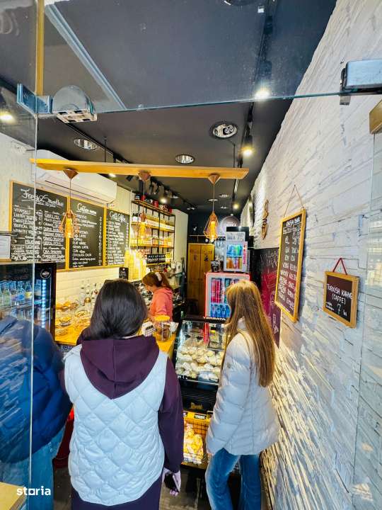 Spatiu comercial de vanzare Calea Victoriei trafic intens, vad bun-10