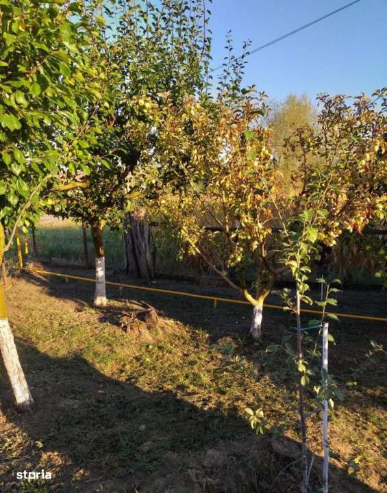 Teren intravilan 1800mp | Casa 2 camere-4