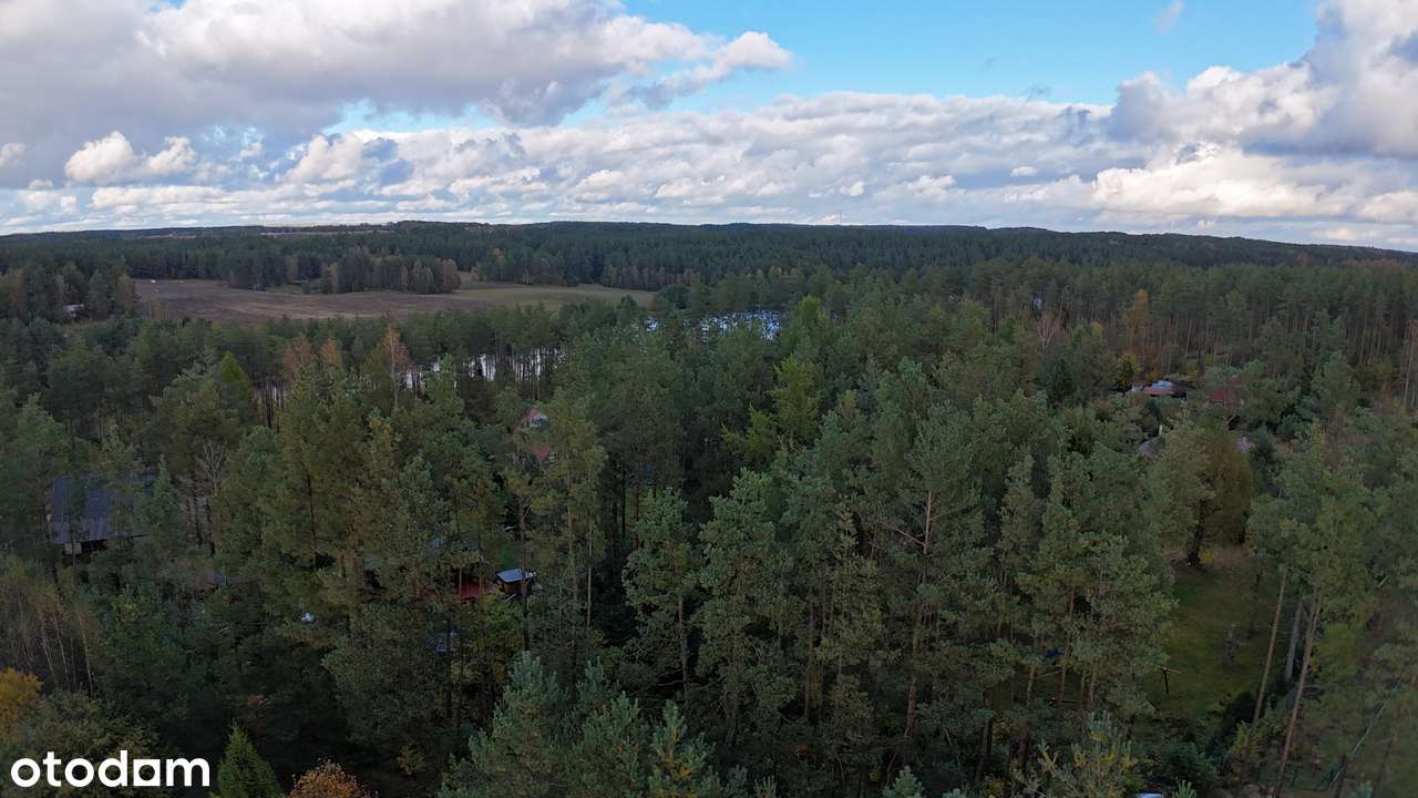 Dom w sercu Kaszub – Twoje prywatne miejsce harmonii | Las  | Jeziora-5