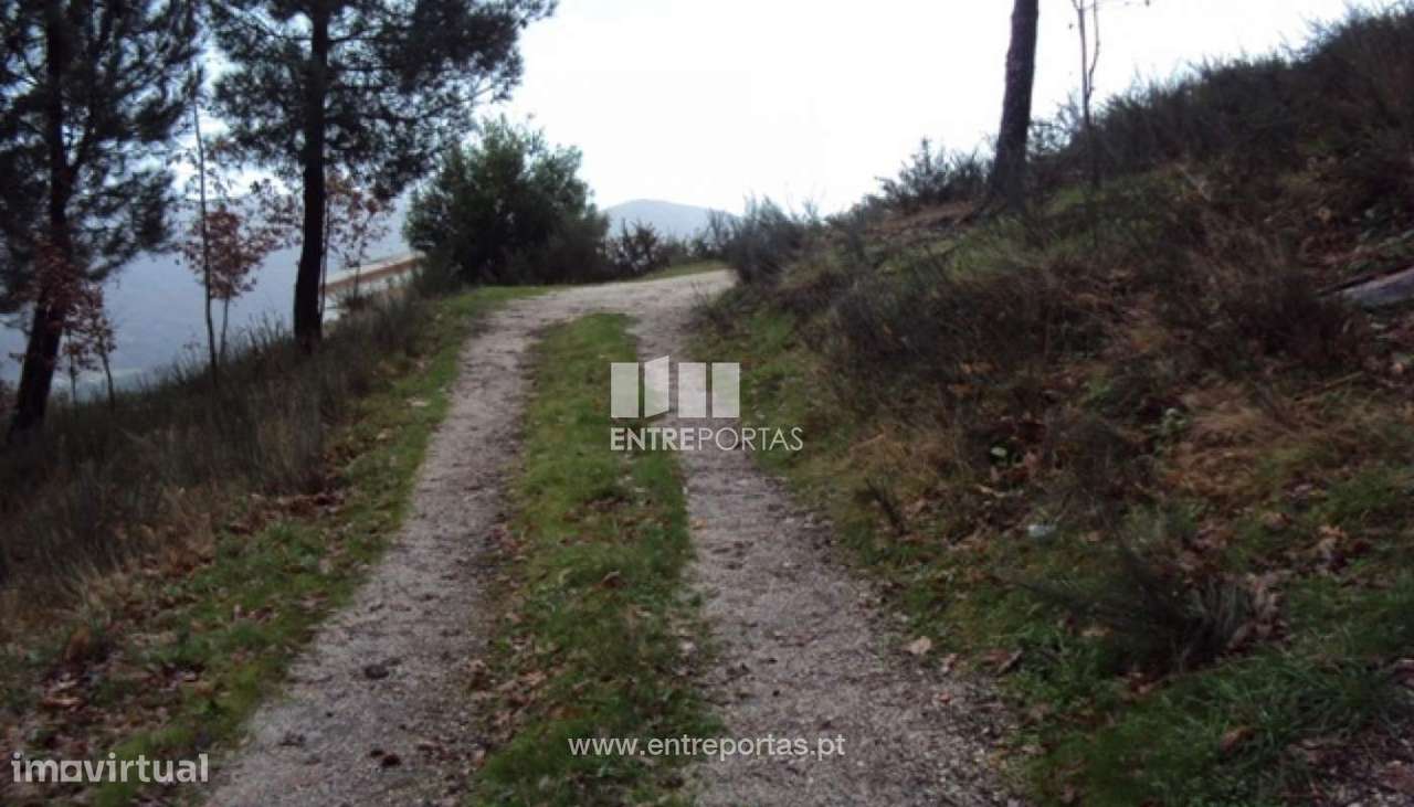 Venda Terreno, Campelo, Baião - Grande imagem: 2/10