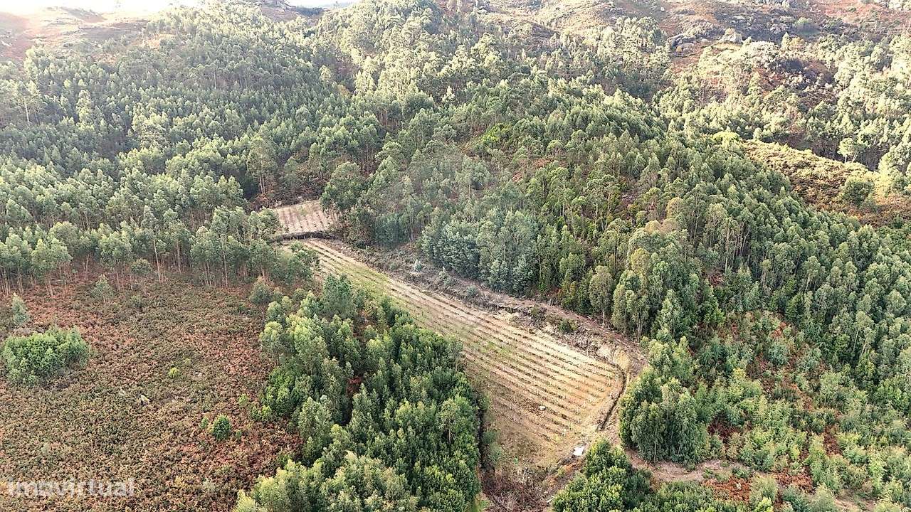 Terreno  para venda - Grande imagem: 5/7