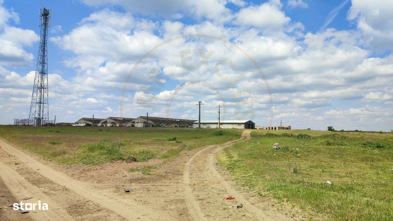 De Vanzare Ferma Piscolt Teren 64.000 mp- Piscolt SM - Comision 0% cum - Imagine principală: 3/19