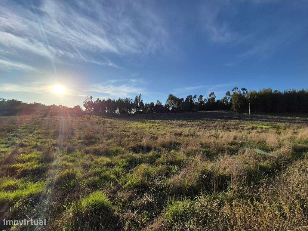 Terreno Rústico - Grande imagem: 4/16