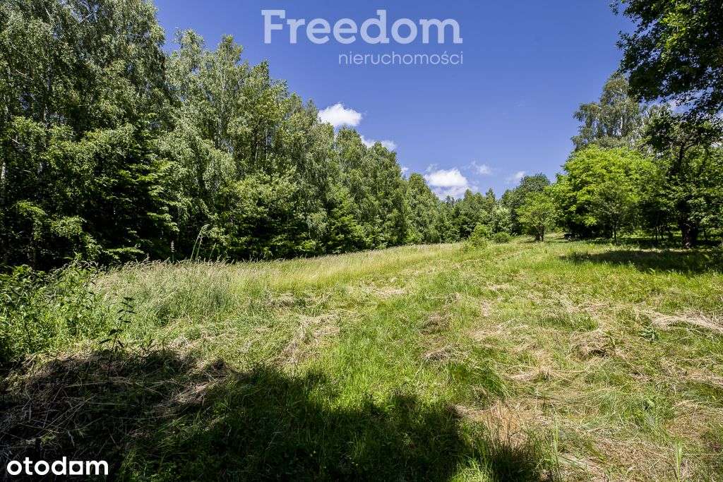 Działka 62,87 ar z zabudowaniami przy lesie-11