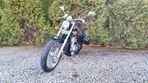 Honda Shadow - 4