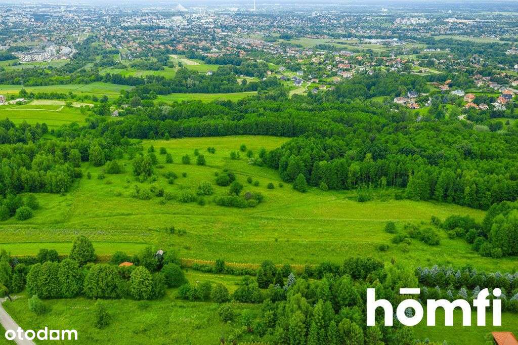Atrakcyjna działka z Wz - 15,75 ar – media - Pełny obrazek: 4/12