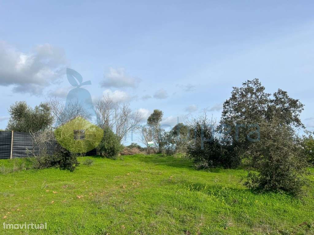 TERRENO RÚSTICO 1680 M2 EM ALCARIA-PADERNE - Grande imagem: 2/20
