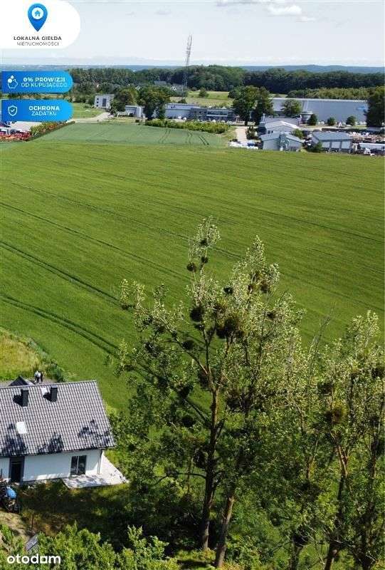 Bliźniak, gotowy, odebrany, wycekolowane ściany.-18