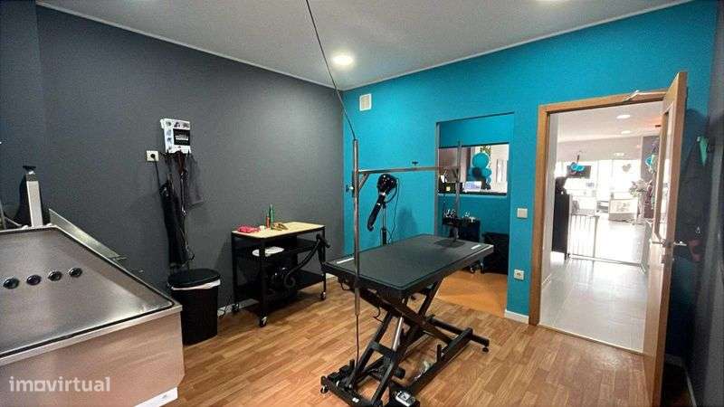 Trespasse Pet-Shop no centro de Gaia - Grande imagem: 4/5