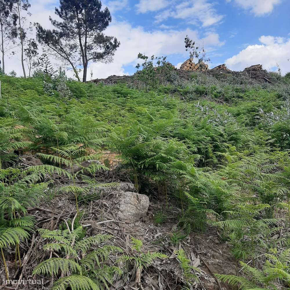 Terreno Rans Penafiel - visão e valorização a médio e longo prazo-16