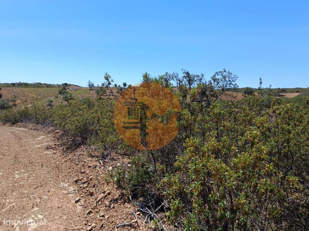 TERRENO COM 840 M2 - COM ÁRVORES - PRÓXIMO DA CORTE DO GAGO - CASTR... - Grande imagem: 4/34