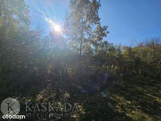 Działka budowlana z Mpzp Wawer 2419m2 Polecam!!!-3