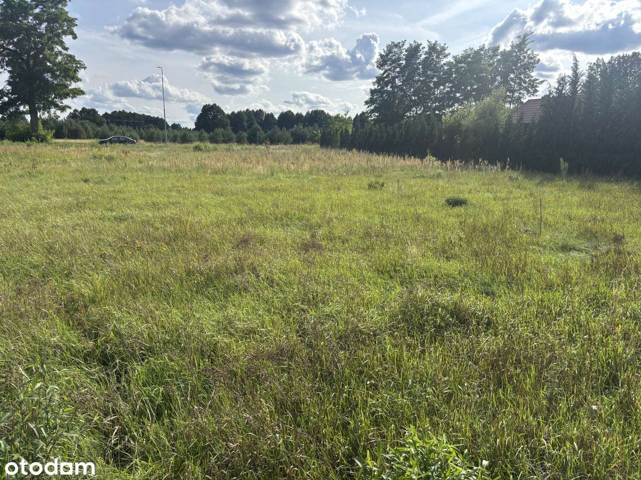 Działka Silna - Pełny obrazek: 5/6