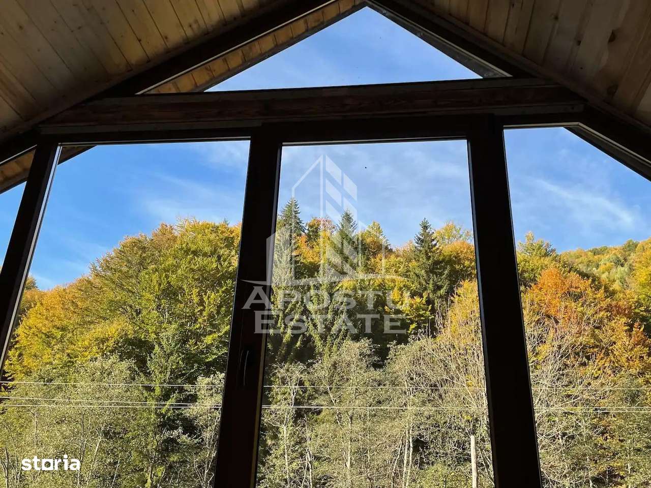 Cabana de inchiriat in Apuseni, Ciubar, Fara vecini, Foisor, Atv - Imagine principală: 4/19