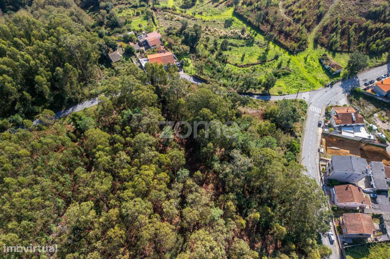 Terreno para construção - 2.150 m² - S. Cosme, Gondomar - Grande imagem: 5/15