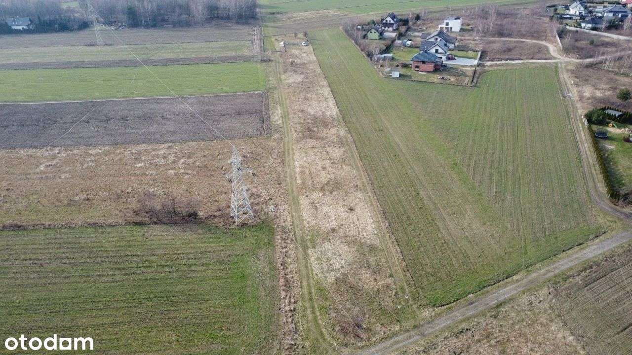 Działka, 2 450 m², Józefów - Pełny obrazek: 4/10