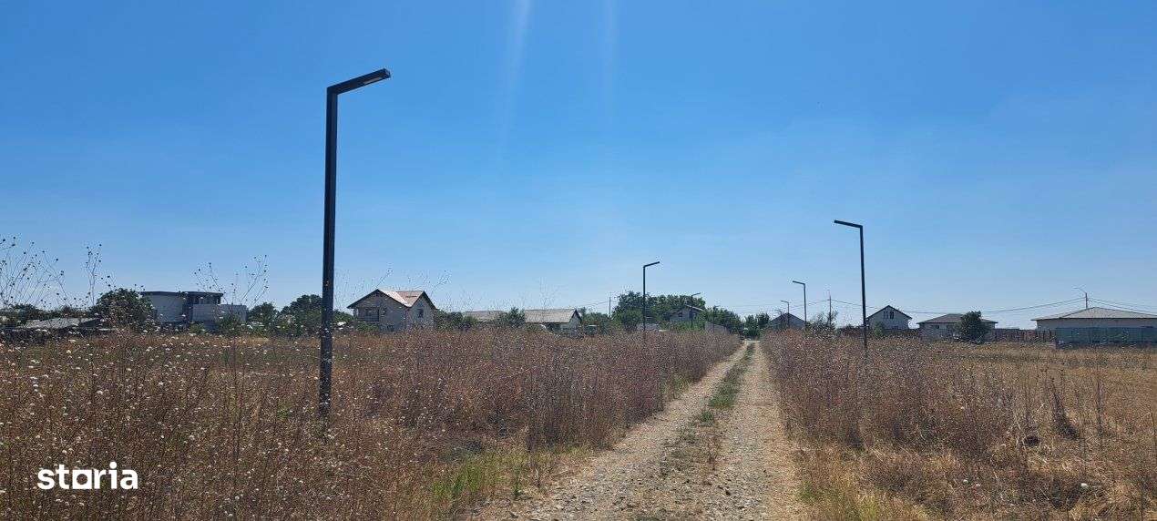 DIMIENI - ILFOV / STR. STRAJA / TEREN 1000 mp / 2000 mp-18