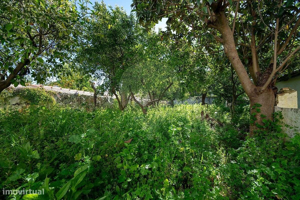 Moradia T3 para venda-14