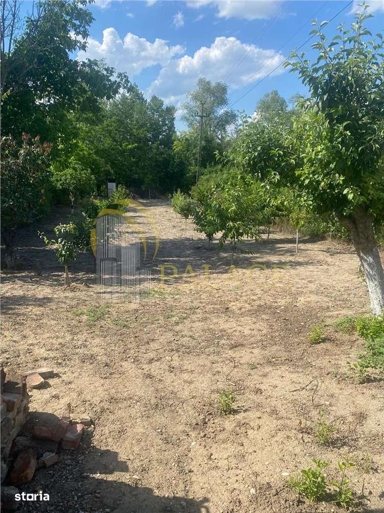 Oportunitate  unica de investitie- teren de vanzare- Prahova-4